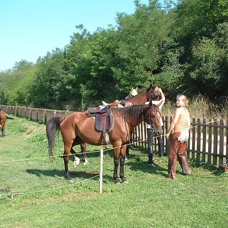 Penzion Kisecset-vendeghaz